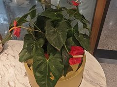 -康师傅私房牛肉面(申虹店)
