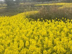 -樱桃山旅游景区
