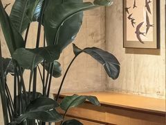 -有序Orderly融合西餐·咖啡(运河外滩店)