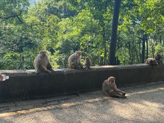 -黔灵山公园