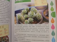-五峰书院(南洋泾路店)