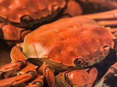 -海逸海鲜酒家(古北店)