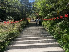 -天姥山景区