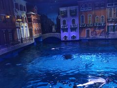 -华夏文旅海洋公园