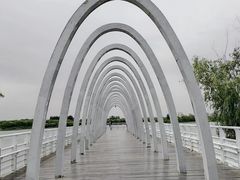 -大兴滨河森林公园