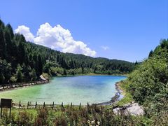 -武陵山森林公园