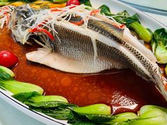 清蒸鲈鱼-红栌温泉山庄生态美食餐厅