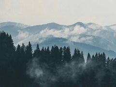 -杭州西湖东坡酒店