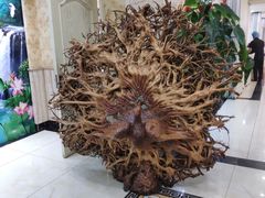 -普天和酒楼·新津菜·烤鸭(天津之眼店)