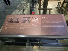 -龙泉青瓷博物馆