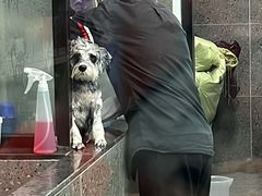 -宠物家(大兴旧宫店)