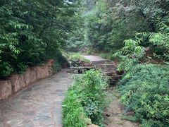 -北京西山国家森林公园