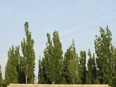 -永定河休闲森林公园