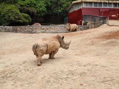 -泉州海丝野生动物世界