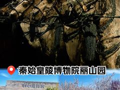 -秦始皇帝陵博物院-丽山园