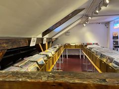 -树懒黑胶唱片店(中山路店)