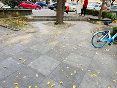 -西南交通大学(九里校区)