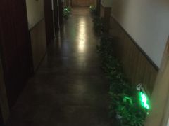 -春会馆(茂名北路店)