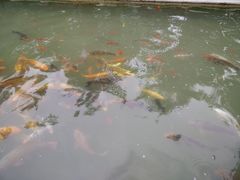 -开元溶洞