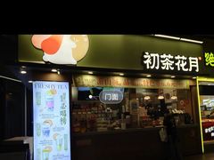 -初茶花月·重庆特产(大融城店)