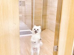 寄养房间-Double Rui宠物酒店