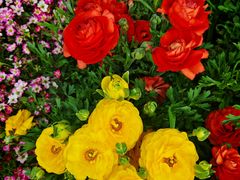 -上海浦江郊野公园·1号停车场