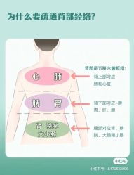 -香薇妮丝女子减肥院