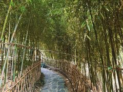 -竹子庵公园