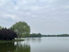 -石家庄市植物园