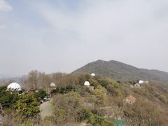 -紫金山天文台