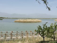 -野鸭湖国家湿地公园