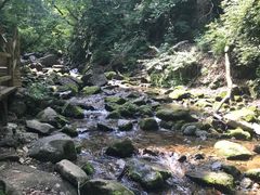-本溪汤沟绿石谷森林公园