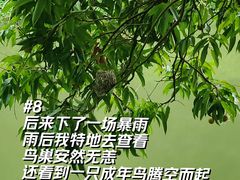 -长洲岛