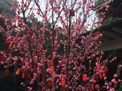 -拂晓山房·私房川菜(西门店)