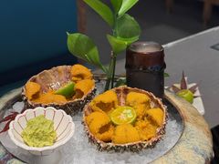 大黄金海胆-胆道·海胆专门店(凯德晶萃店)