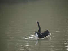 -长兴太湖图影湿地文化园