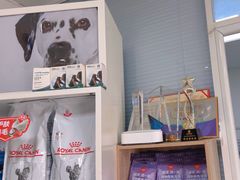 -瑞派福兴宠物医院犬猫全科·骨科·中西医结合(河东店)