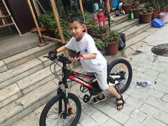 -道路口单车爱瓦士dahon大行