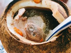 原只椰子炖鹌鹑-達揚原味燉品(文明路店)