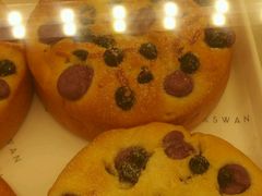 -BLACKSWAN黑天鹅(环球店)