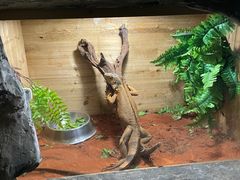 -绿色星球动物主题公园