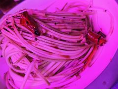 捞汁西葫芦-肉串汪(望京店)