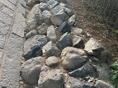 -南山公园