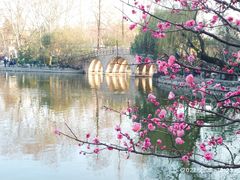 -莹珠阁·私房菜