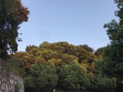 -凡德艺术街区