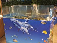 -亚龙湾希尔顿自助餐厅·海鲜·烧烤·沙滩BBQ·现场乐队