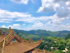 -东莞市大岭山森林公园