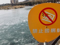 -前关湿地公园