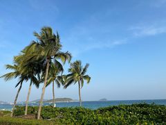 -三亚亚龙湾天域度假酒店