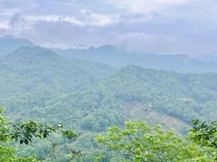 -凤栖山